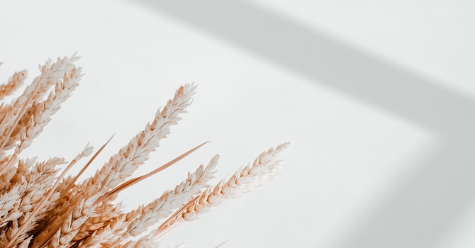 Massage Therapy & Advanced Care Modalities 